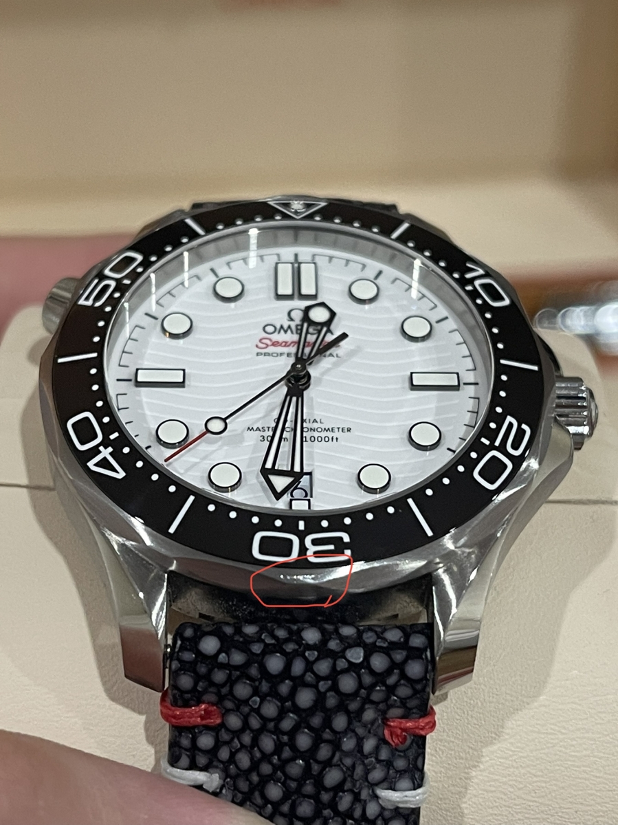 shr_2259.jpg