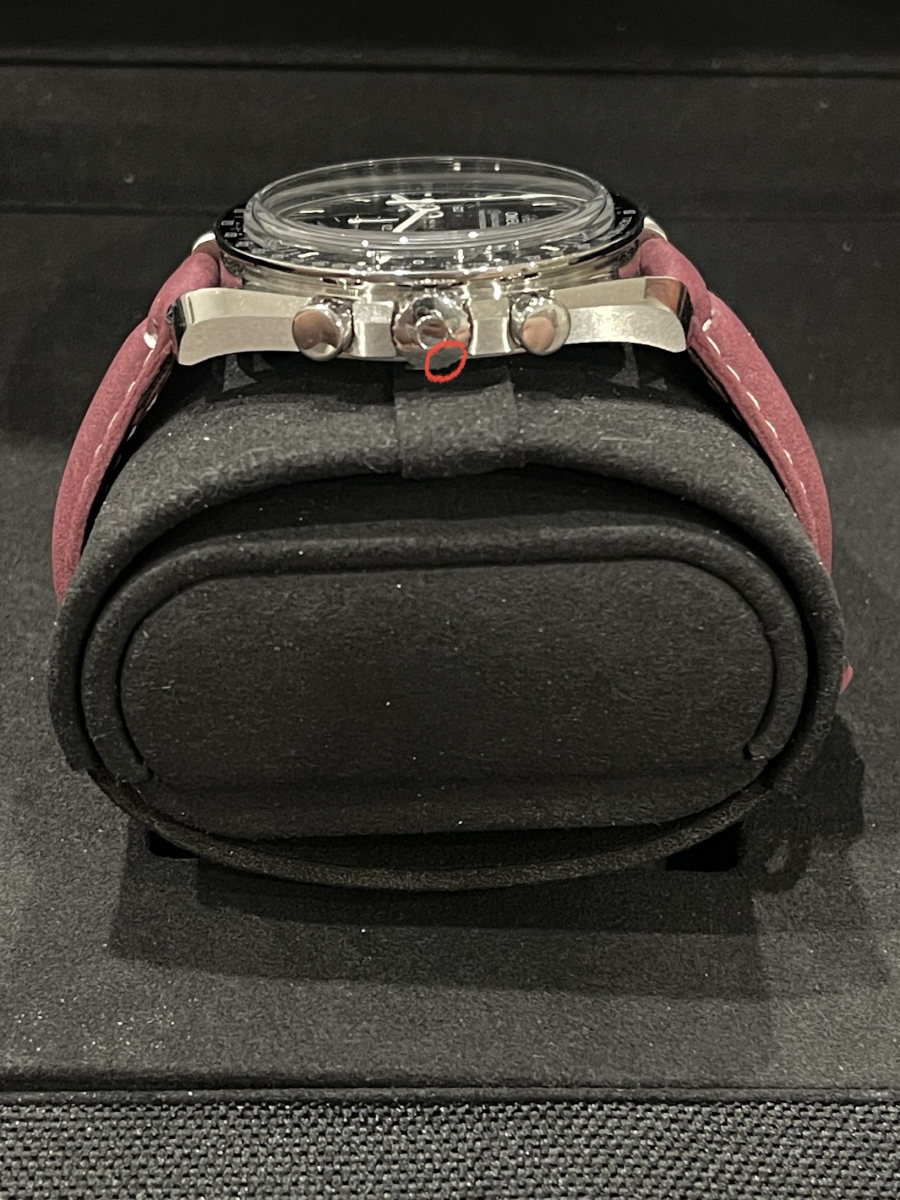 shr_2805.jpg