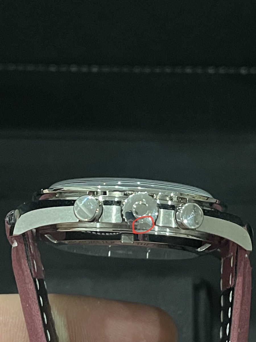 shr_2807.jpg