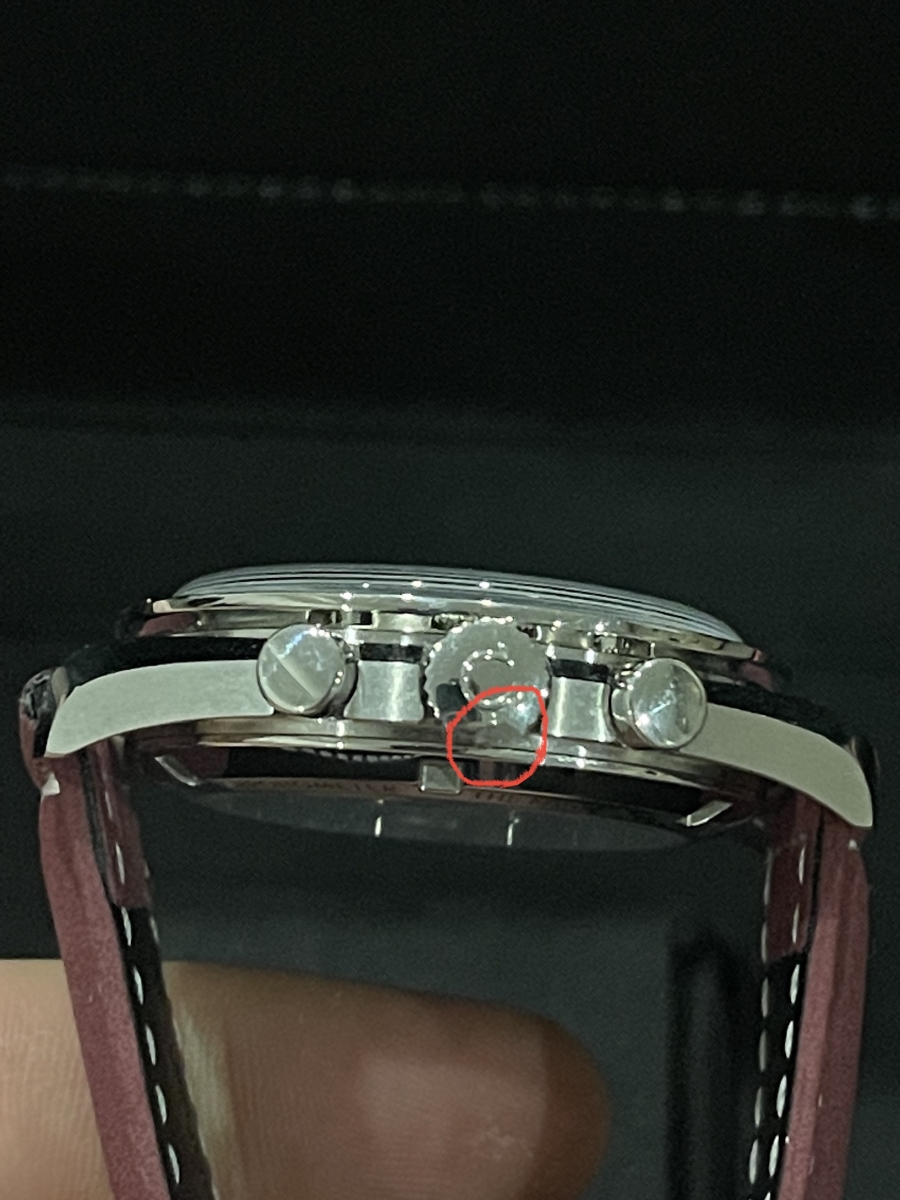 shr_2808.jpg