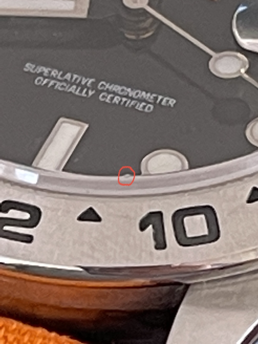 shr_2936.jpg